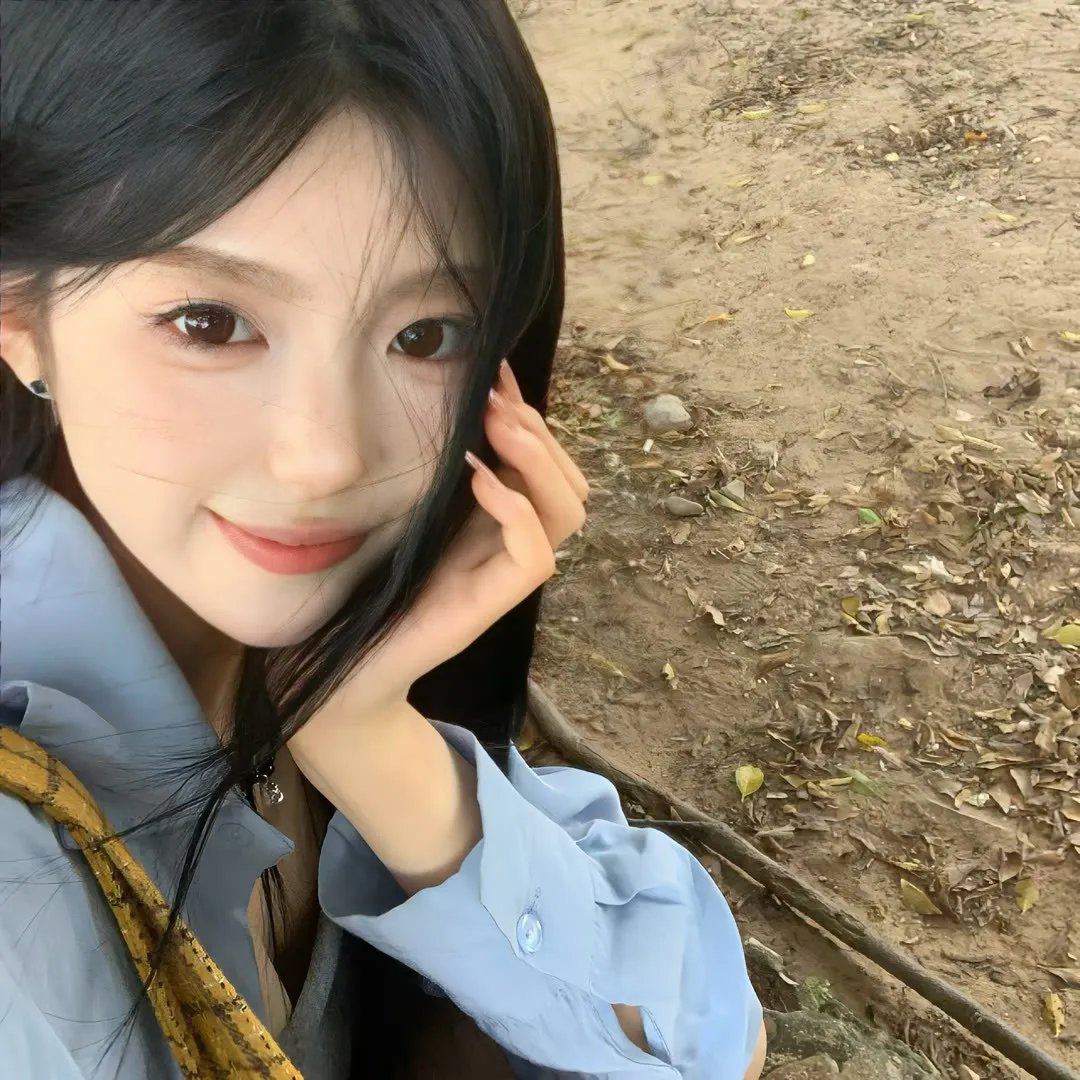 琼楼飞燕