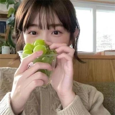 翼龙